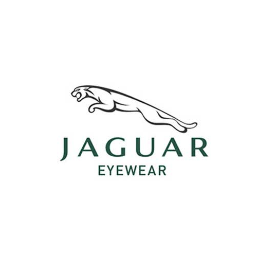 جگوارjaguar